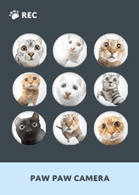 Paw Paw Camera -  Blue 06