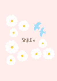 Blue Bird of Happiness White Flower18