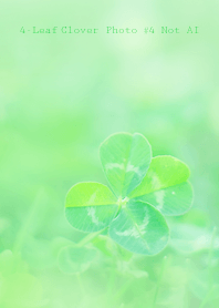 4-Leaf Clover Photo #4-16Not AI