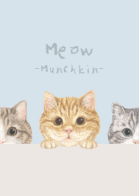 Meow - Munchkin - PASTEL BLUE