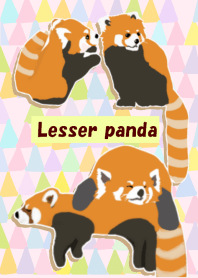 Cute zoo The Red pandas