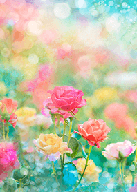 Beautiful rose flower(R5099)