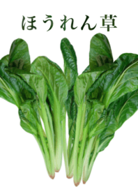 Domestic spinach 11