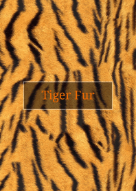 Tiger Fur 41