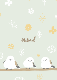 Long-tailed Tit winter pattern7 Japan