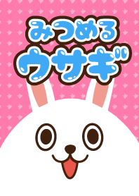 みつめるウサギ