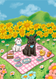 Picnic with dogs in a sunflower field.
