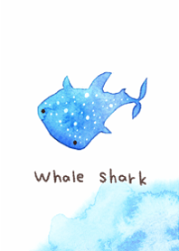 I love cute whale sharks1.