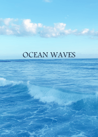 OCEAN WAVES HAWAII - SEA 12