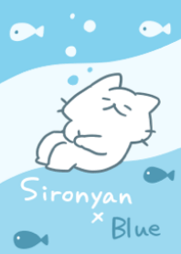 cute white cat(blue)