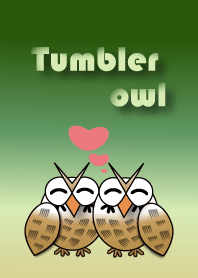 Tumbler owl
