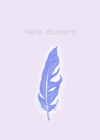 hello, bluebird