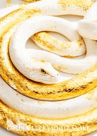 Golden White Snake of Luck 77