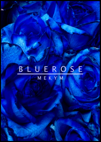 BLUE ROSE-DARK 5