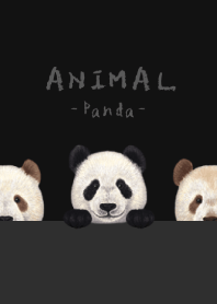 ANIMAL - Panda - BLACK/GRAY