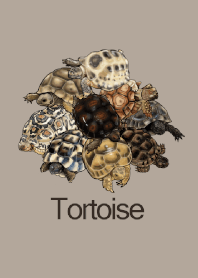 ENOGU リクガメ 爬虫類 着せ替え