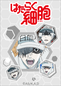 TVアニメ「はたらく細胞!!」Vol.13