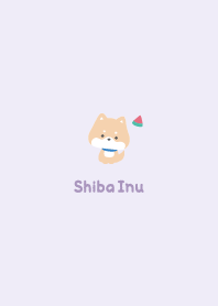 Shiba Inu3 Watermelon - Purple
