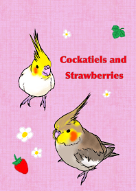 Cockatiels and Strawberries