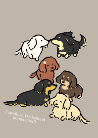 Fuwafuwa Dachshund(long-haired)