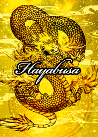 Hayabusa Golden Dragon Money luck UP