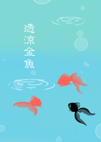 透涼金魚