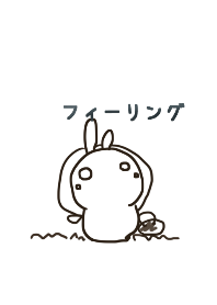 rabbit staring - white