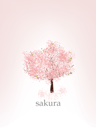 Sakura in spring.