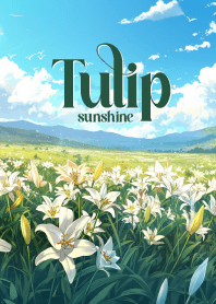 lively tulip flower park