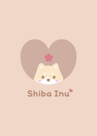 Shiba Inu2 Cherry blossoms / orange