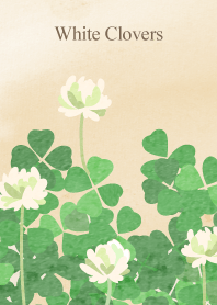 White Clovers