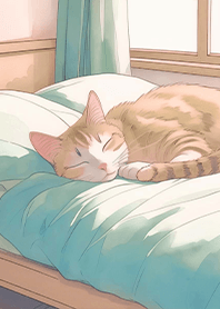 療癒生活-午後房間 在床上睡午覺的貓咪