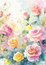 Beautiful rose flower(R4076)