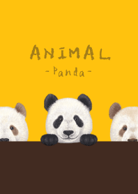 ANIMAL - Panda - SUNFLOWER
