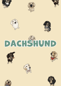 dachshund6 / pale yellow