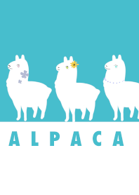 Summer Alpaca