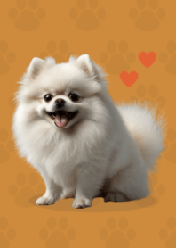 Cute Pomeranian Theme Brown 04