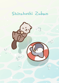 しらほしずかん　うみのいきもの