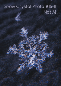 Snow Crystal Photo #15-11Not AI