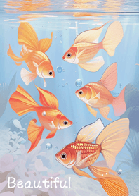 自由自在的美麗金魚！