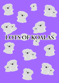 LOTS OF KOALASj-PURPLE
