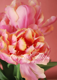 Crystal Tulips