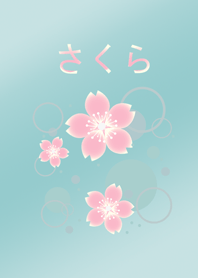 Dreamy cherry blossoms