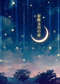 星降る月の夜