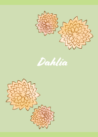 Pretty Dahlia on MG