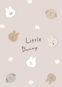 Fluffy rabbit and daisies 01_2