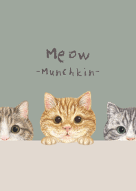 Meow - Munchkin - GREEN GRAY