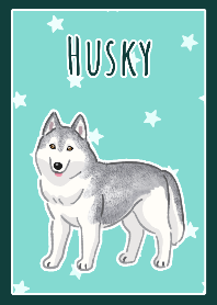 Huskey(Silver)