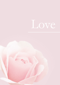 大人キュートローズ・穏やかピンク