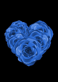 薔薇 青×白